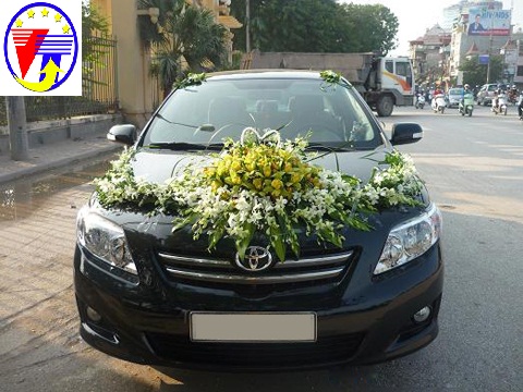 bảng giá cho thuê xe cưới